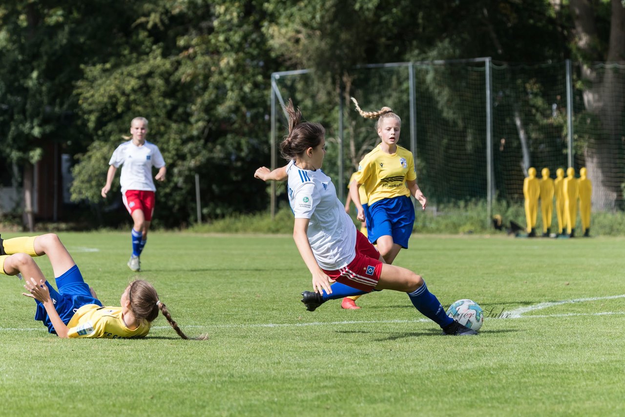 Bild 338 - wBJ Hamburger SV - FC Carl Zeiss Jena : Ergebnis: 5:1